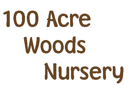 100 Acre Woods Nursery